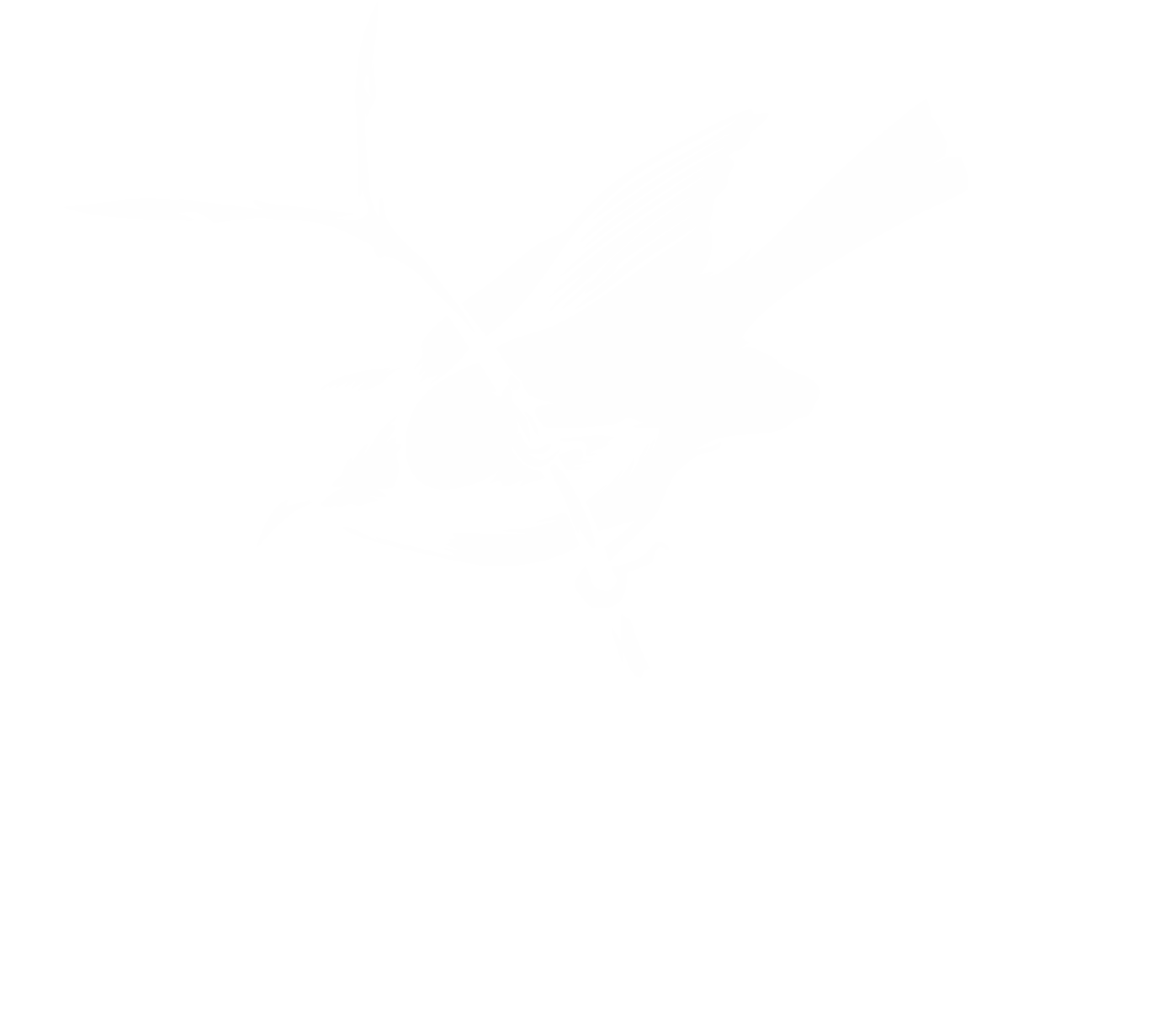 Azienda Agricola Fratelli Capinera